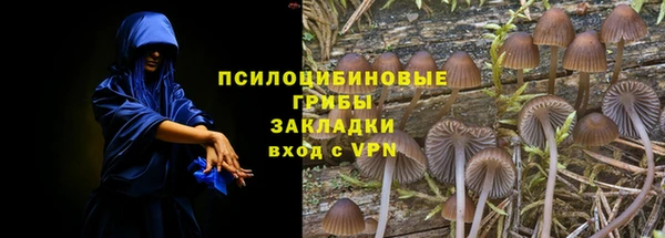 бошки Снежинск