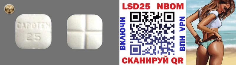 LSD-25 экстази ecstasy  купить наркоту  Большой Камень 