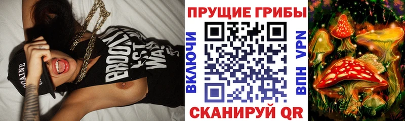 Псилоцибиновые грибы прущие грибы  Большой Камень 
