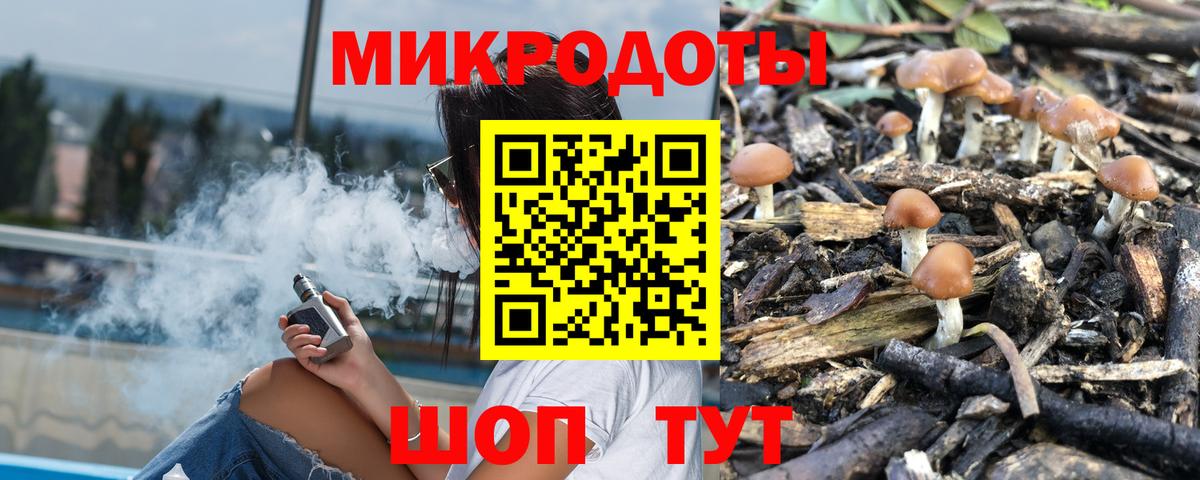 Большой Камень  Псилоцибиновые грибы Magic Shrooms  Вход с VPN 