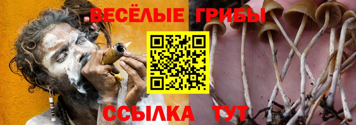 Псилоцибиновые грибы мухоморы Большой Камень