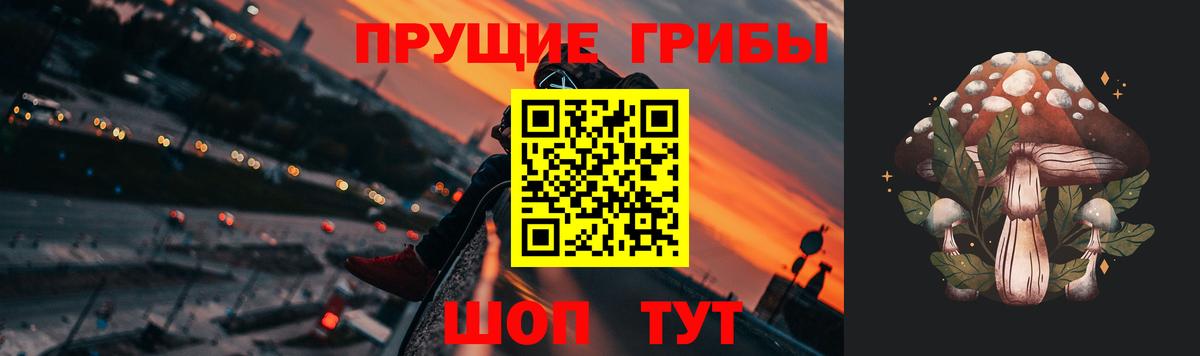 Галлюциногенные грибы Psilocybine cubensis Большой Камень