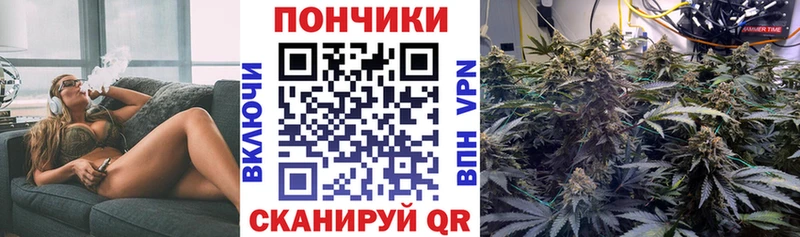 Бошки марихуана ГИДРОПОН  Большой Камень 