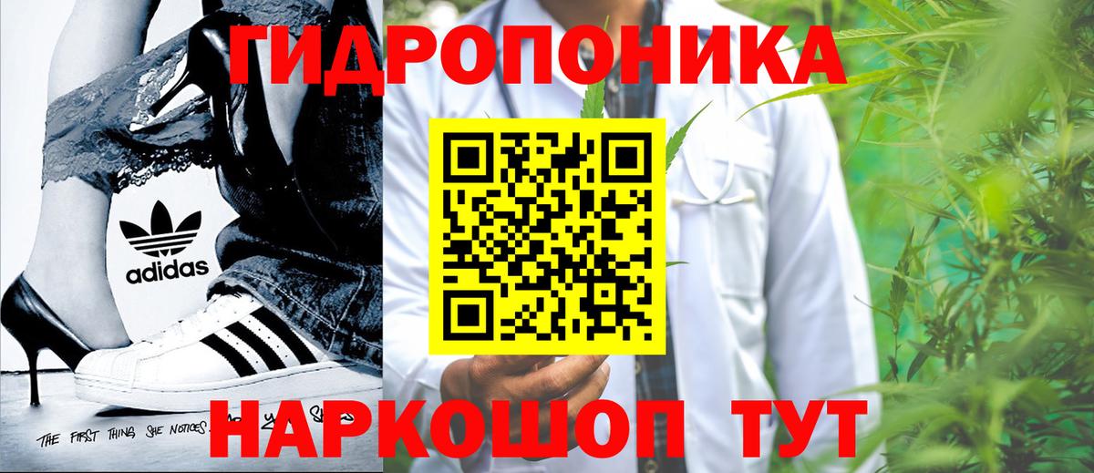 МАРИХУАНА план Большой Камень